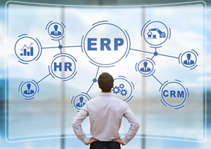 Climbing Mt. Implementation: You just bought a new ERP system, now what?